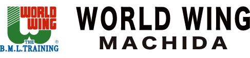 WORLD WING MACHIDA